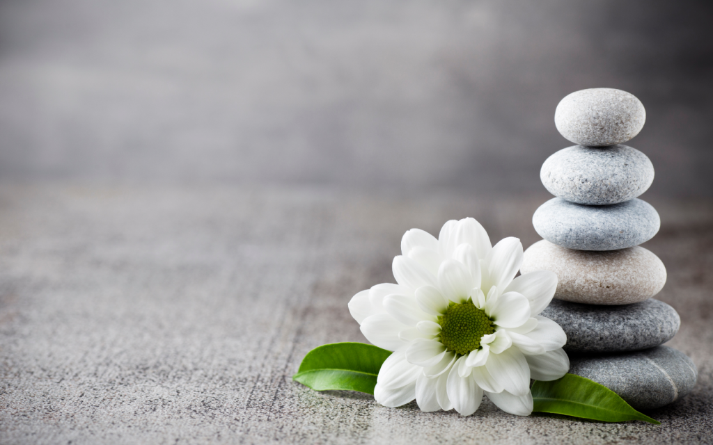 Cómo SerHogarSystem Garantiza el Bienestar Físico y Emocional de las Personas que Cuida